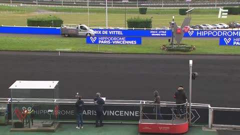 QUINTE+ Greco Bello - Prix de Vittel - Vincennes - 01/02/2021