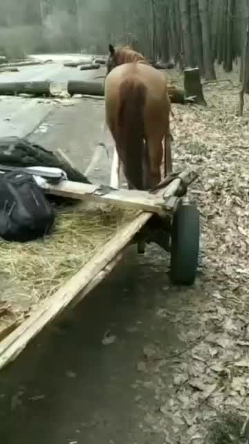 19.03.2022. Demilitarization and denazification of Ukraine!!!