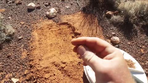 Successfully Hunting for Gold