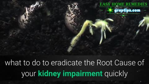Home Remedies for Kidney Disease