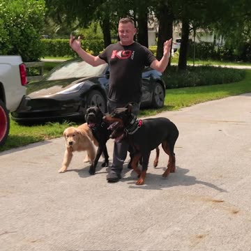 DON’T TRY THIS AT HOME: The Quadruple Dog Heel