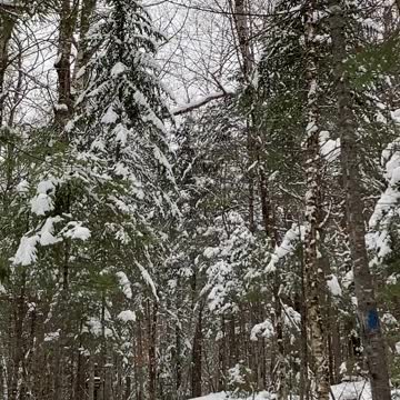 It’s now or never.