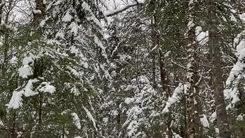 It’s now or never.