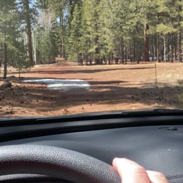 Family time - Trying to reach Thompson Trail #629