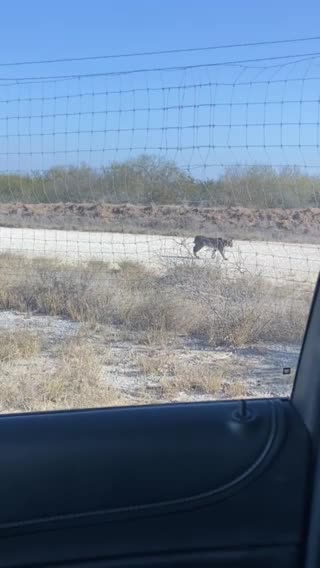 Look what I saw today