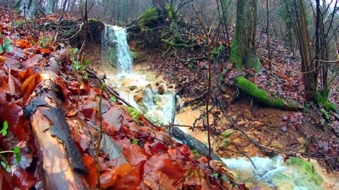 Netural Waterfall | Waterfall video