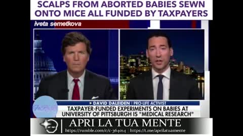 Terribile: Scalpi di bambini abortiti sui topi per effettuare esperimenti