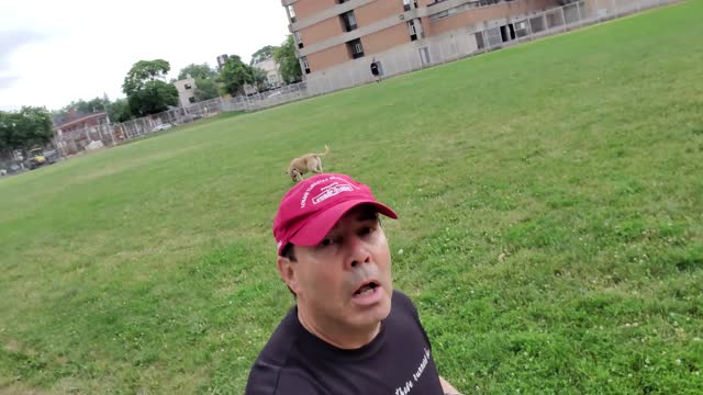 RELAXING DOMINGO 26 DE JUNIO, 2022