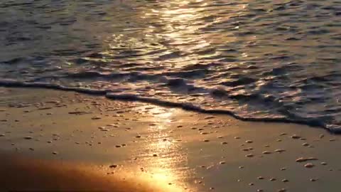 Relaxing Music | Sleeping, Meditation, Stress Relief | [1424] ⭐️