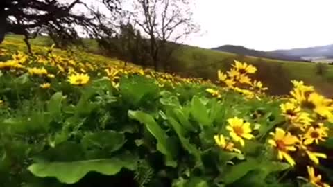 Time with God - November 3