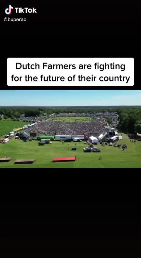 Coming to America this fall?