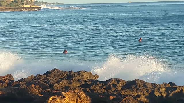 Wave Crushes Boy on Boogie Board