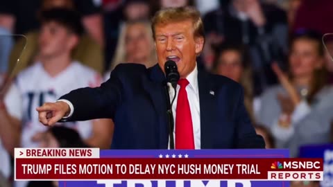 Trump File Appeal begging Judge Delay Hush Money