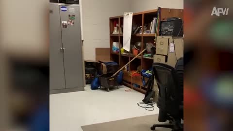 BEST Halloween Pranks and Fails