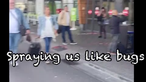 Spraying us like bugs