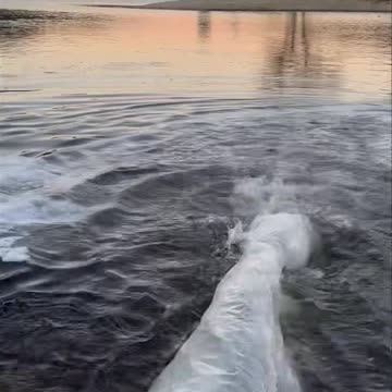 Lake Hemet Trout Stocking Fish Report