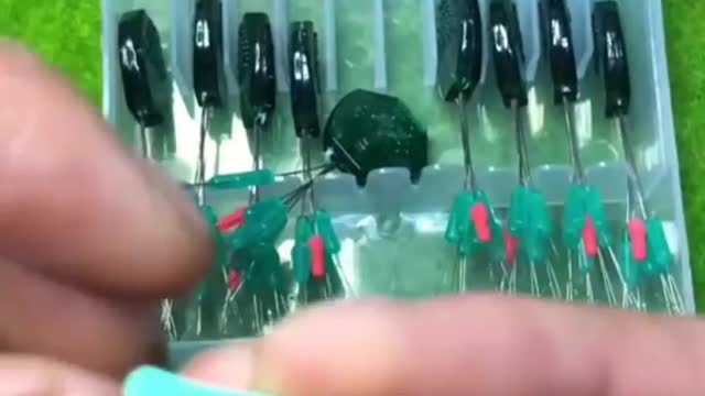 Fishing to get unique and expensive fish species