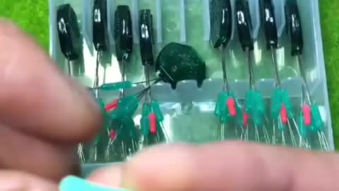 Fishing to get unique and expensive fish species