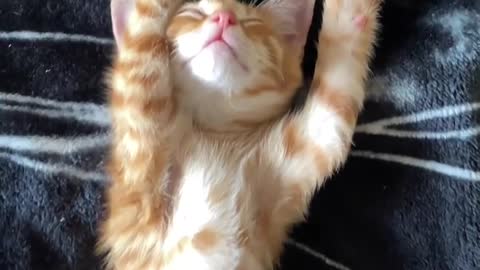 "He is not feeling anything😂😂😆😂😂…"