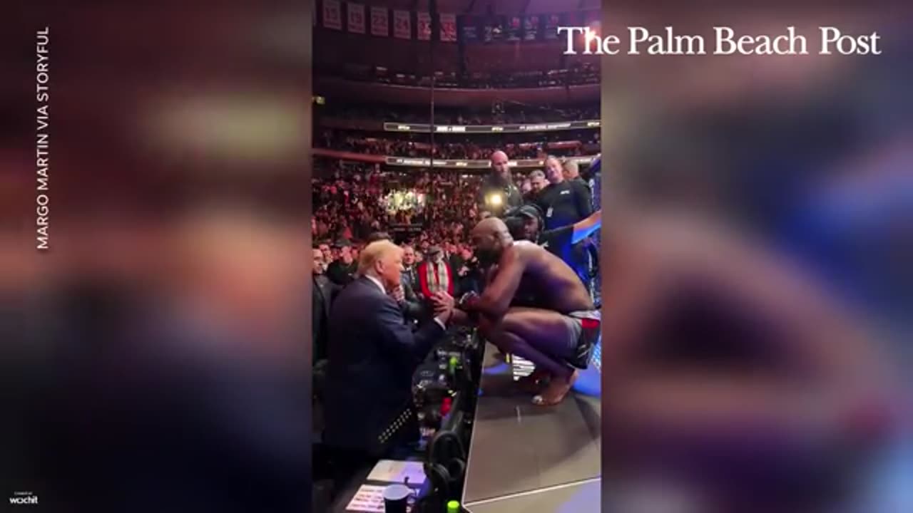 trump dance in the ufc