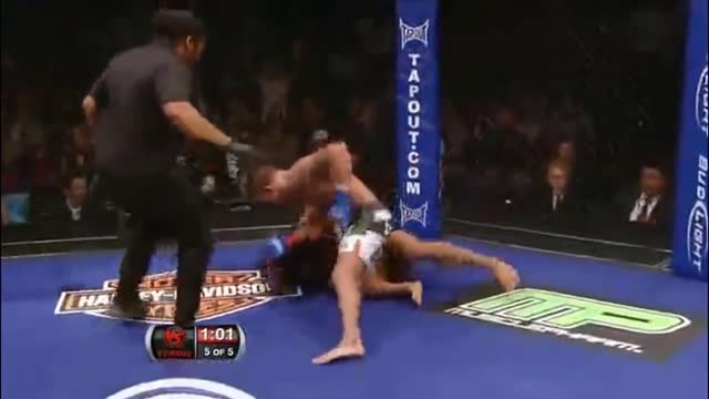 Best Kick Knockouts Ever in MMA