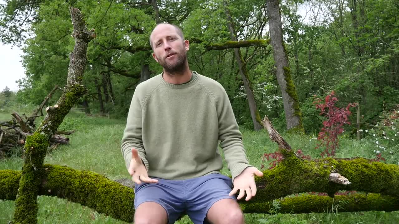 This Man's Trick For Survival Gardening Crops To Grow To Live Off Your Garden Is Amazing