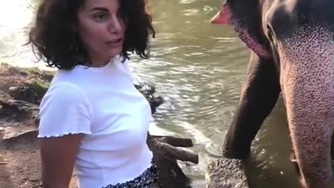 Elephant dance with a cute lady