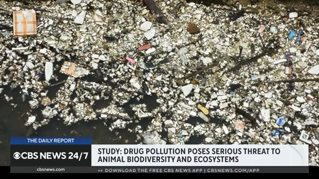 Drug pollution poses serious threat to animals and ecosystems, study finds CBS News