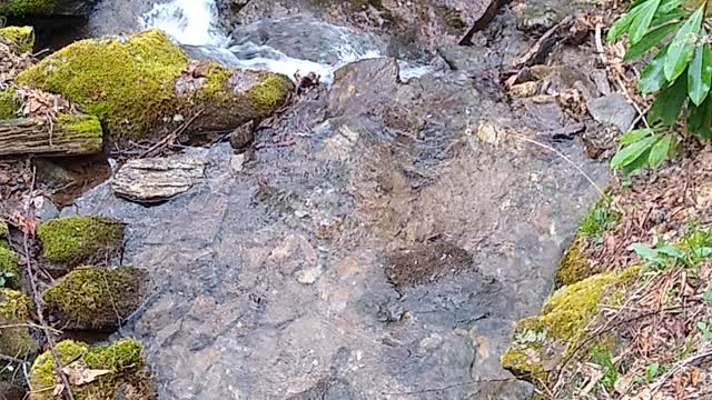 Beautiful mountain stream NC