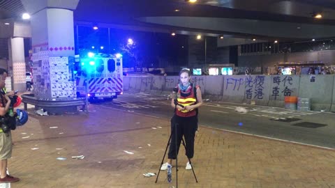 Hong Kong Bridge Protester