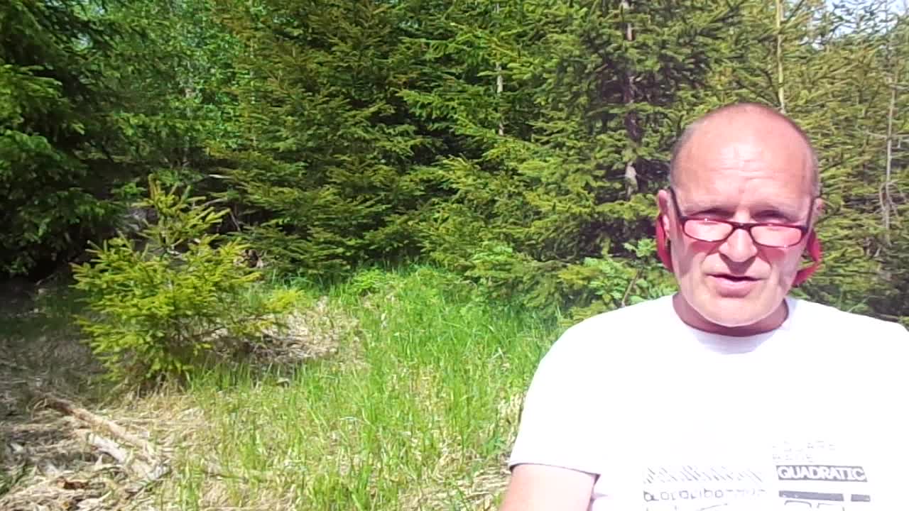 Vom Bitten