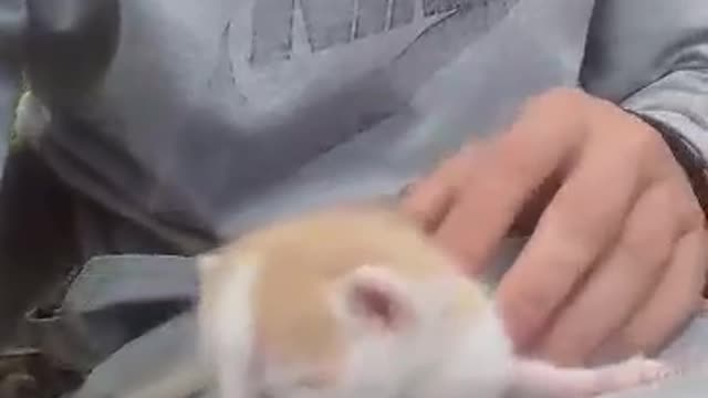 Baby doggy