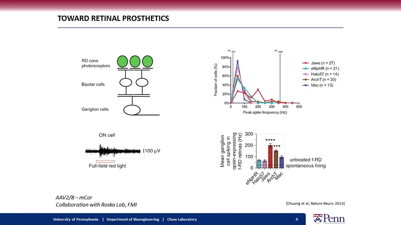 OPTOGENETICS - Washington DC briefing