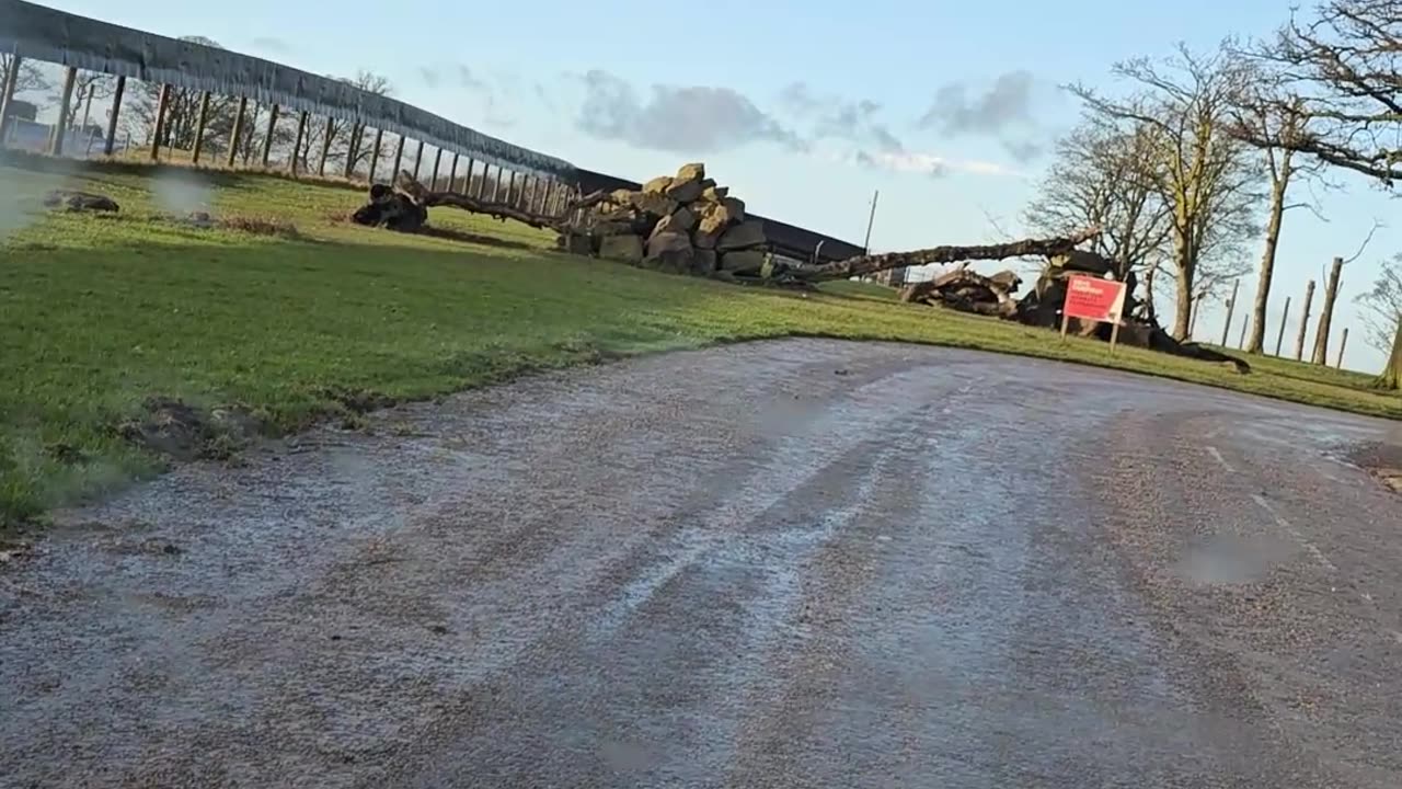 Knowsley Safari Park