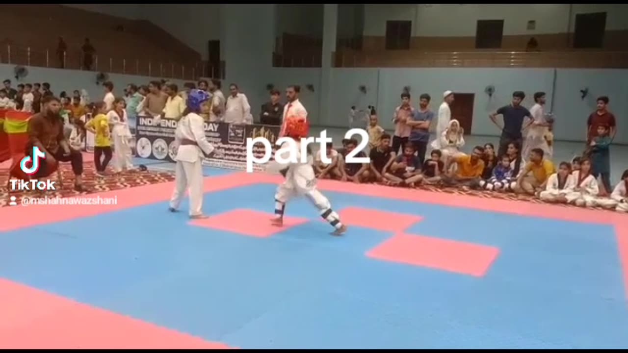 Taekwondo inter district Punjab level championship