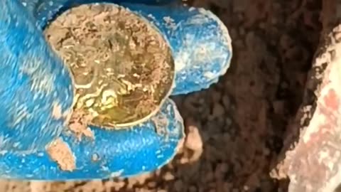 Mystery treasure