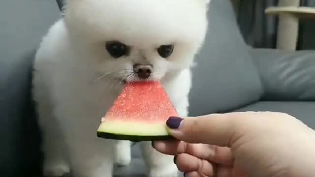 Yummy yummy