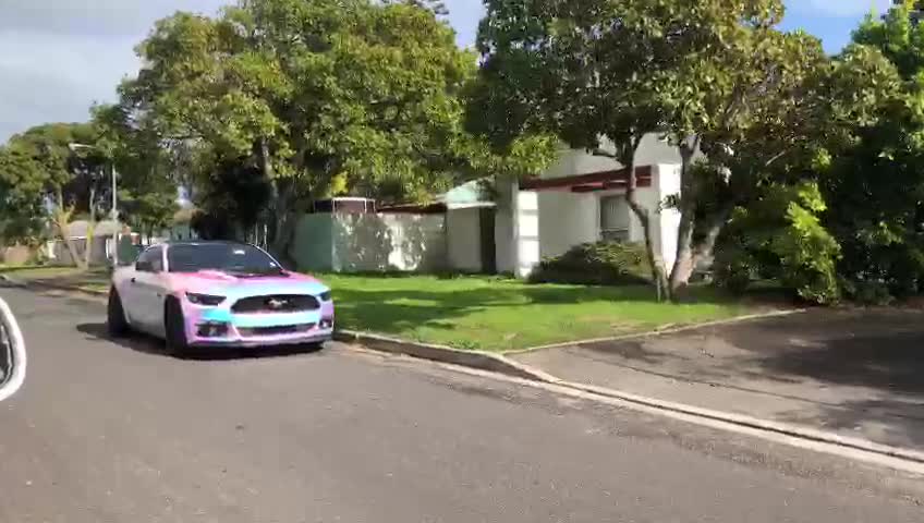 Rainbow Mustang