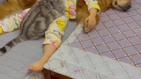 Harmony moments for baby and dog