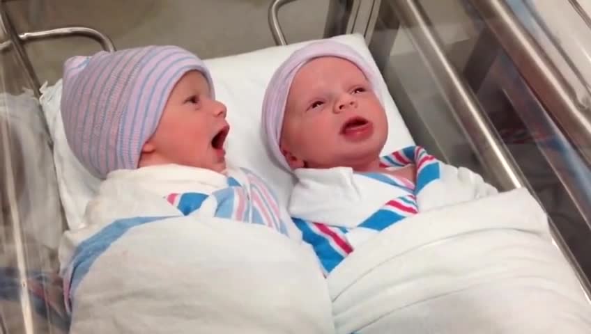 Newborn (one-hour-old) twins have first "conversation"