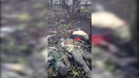 Ukraine War - Yep!!!, War is hell folks (Graphic)