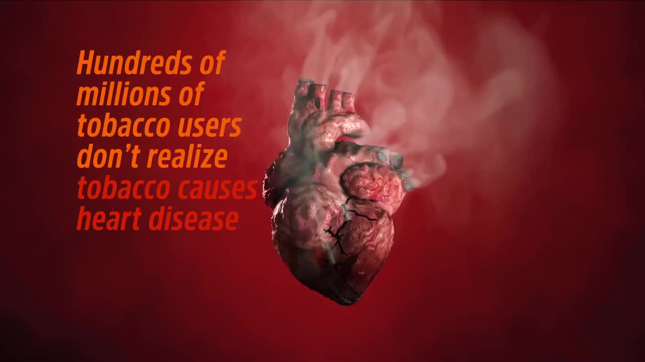 Cigarette smoking increases the risk of Heart Disease