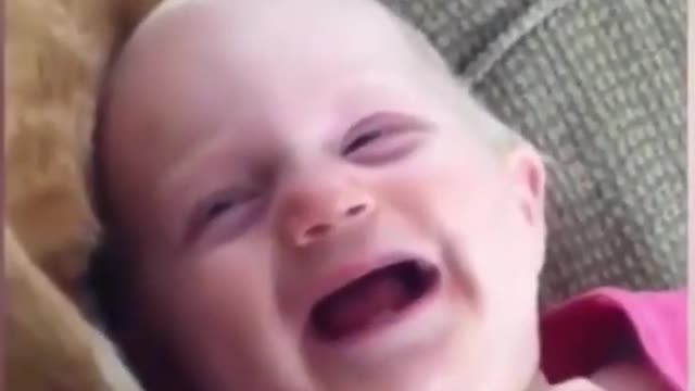 Funny baby and pets