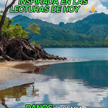 🙏✨Oración Inspirada en las Lecturas de Hoy ✨🙏