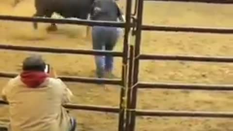 Animal: Mess with the bull get the horn
