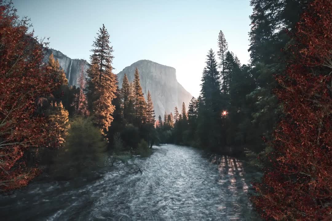 Relax Library Video 68. River running through the forest