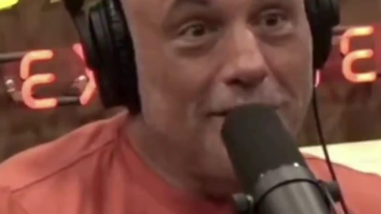 Joe Rogan - Simulation Theory