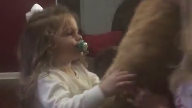 Little girl falls over trying to hold big cat