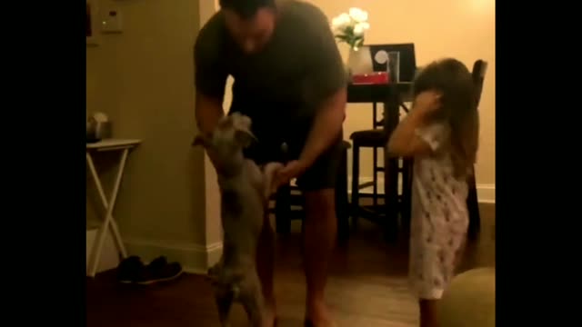 The dog said, Step aside(ig mariellescollageworld)