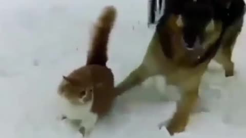 Disaster from the sky: Being knocked down in the snow by a sneak attack